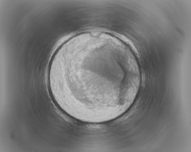 X0000115451231200912161508