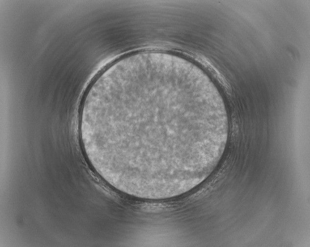 X0000115451232200912161508