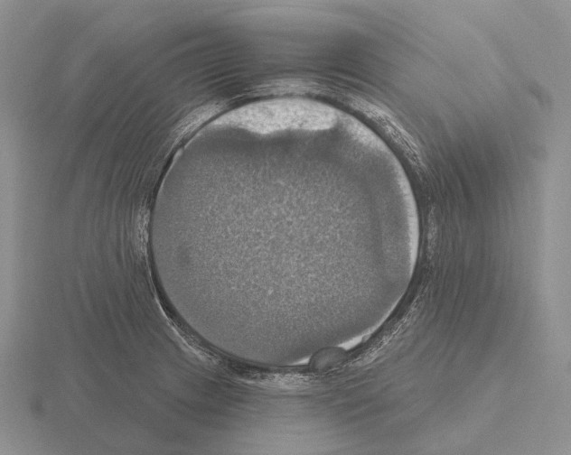 X0000115451233200912161508