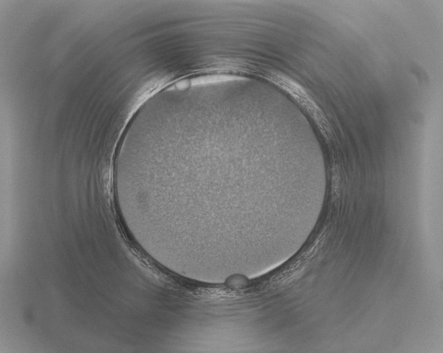 X0000115451234200912161508