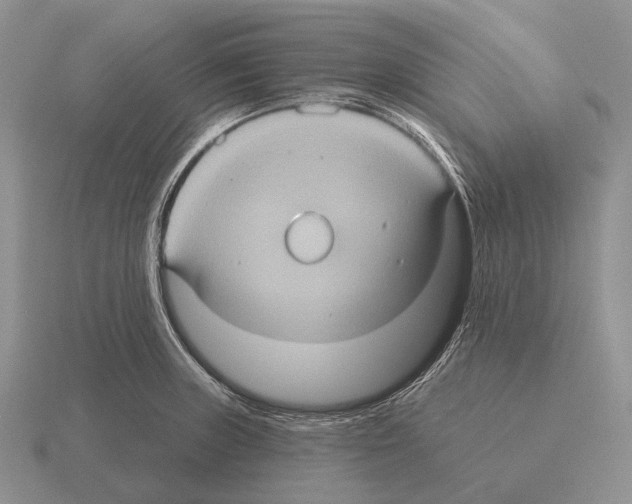 X0000115451235200912161508