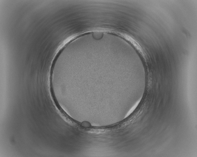 X0000115451237200912161508