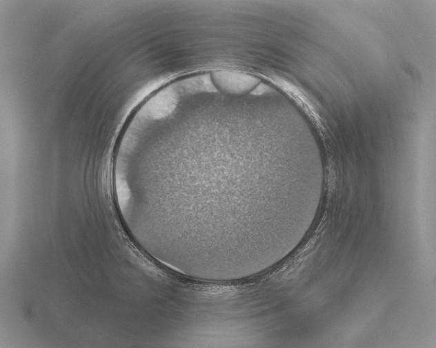 X0000115451238200912161508