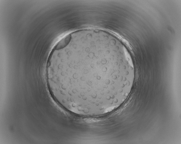 X0000115451239200912161508