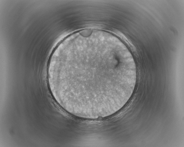 X0000115451240200912161508