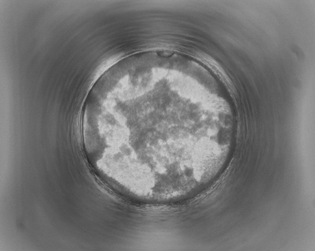 X0000115451242200912161508