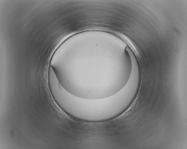 X0000115451244200912161508