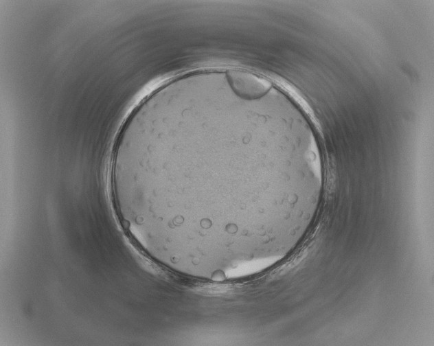 X0000115451245200912161508