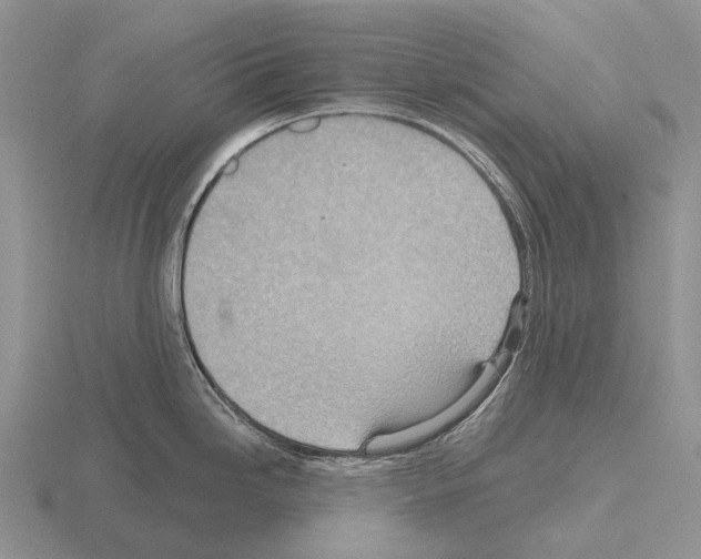 X0000115451246200912161508