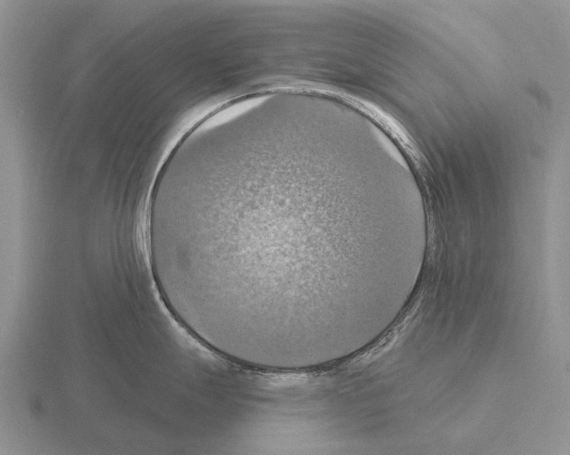 X0000115451247200912161508