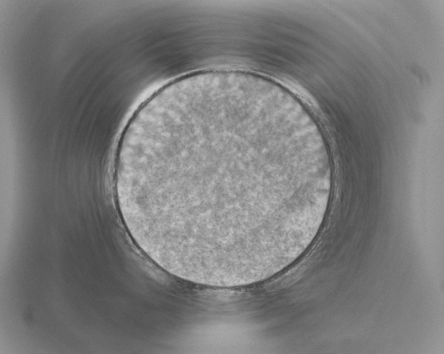 X0000115451248200912161508