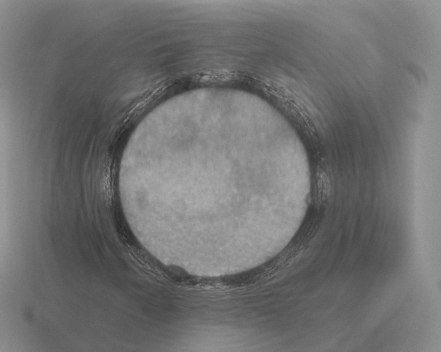 X0000115451250200912161507