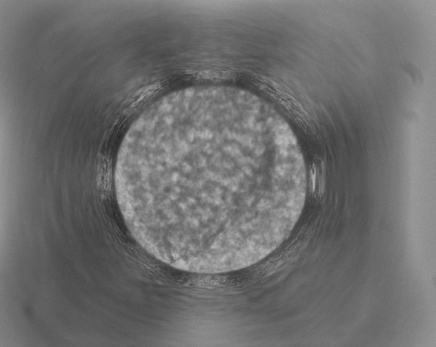 X0000115451251200912161507