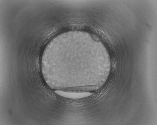 X0000115451252200912161507