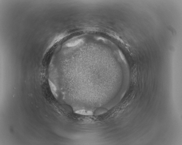 X0000115451255200912161507