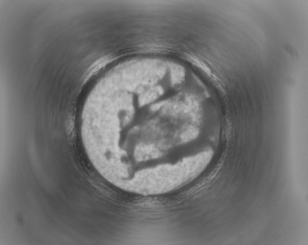 X0000115451259200912161507