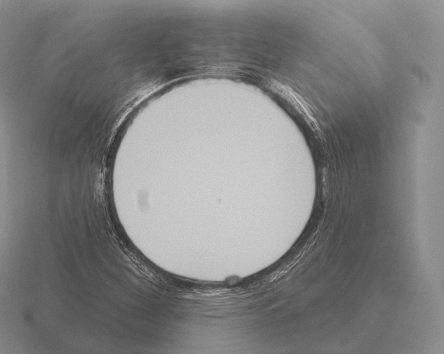 X0000115451260200912161507