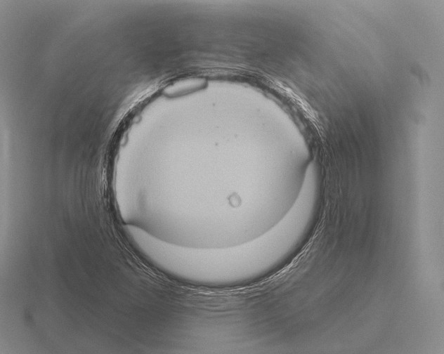 X0000115451261200912161507