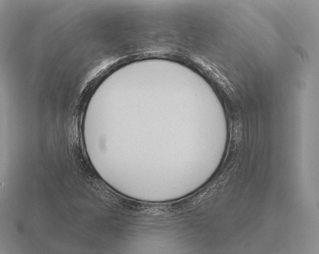 X0000115451262200912161507