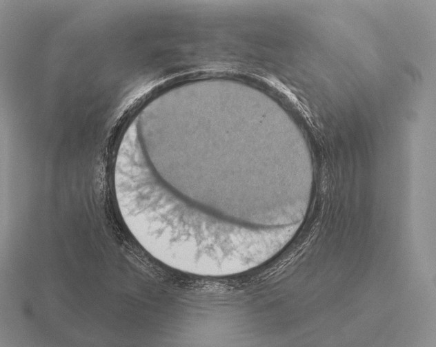 X0000115451263200912161507