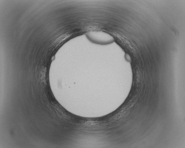 X0000115451265200912161507