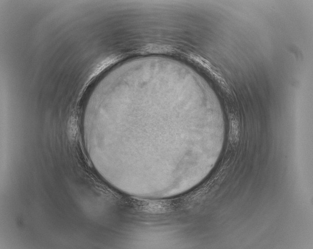 X0000115451266200912161507