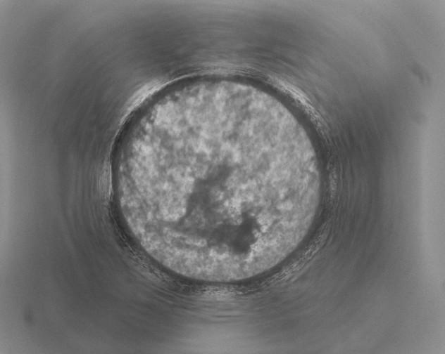 X0000115451267200912161507