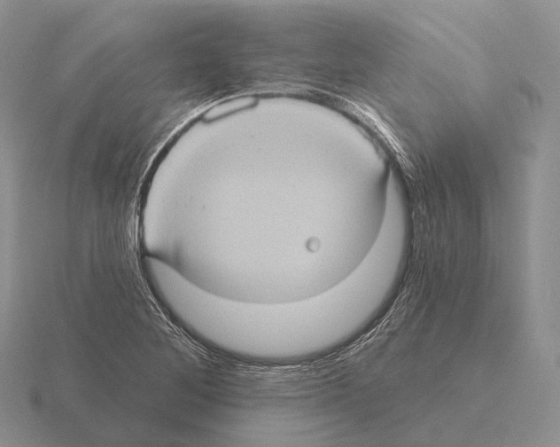 X0000115451268200912161507