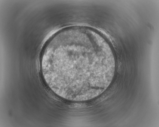 X0000115451271200912161507