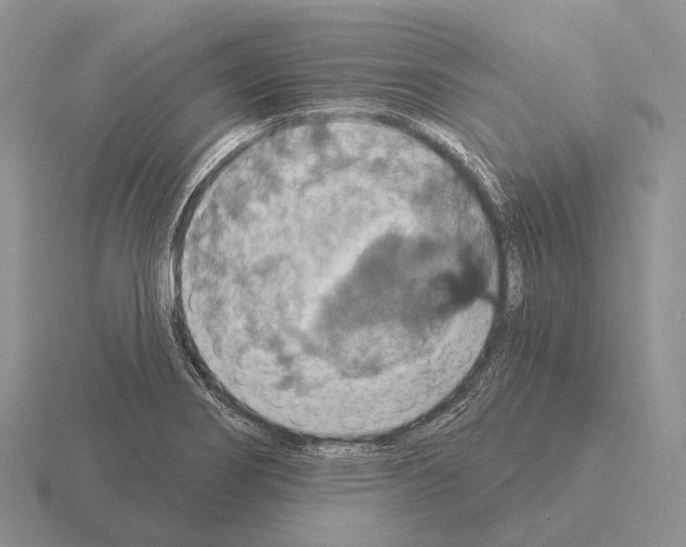 X0000115451274200912161507