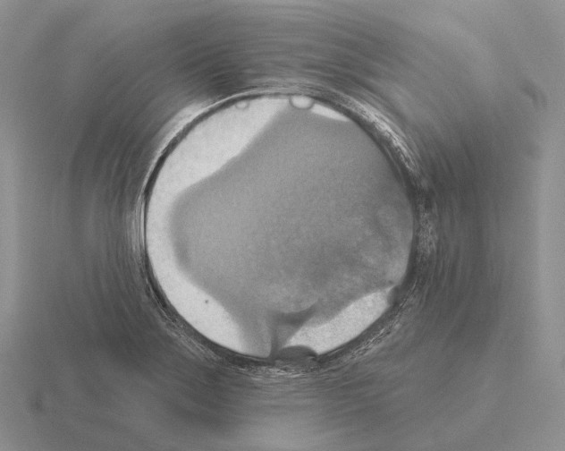 X0000115451275200912161507