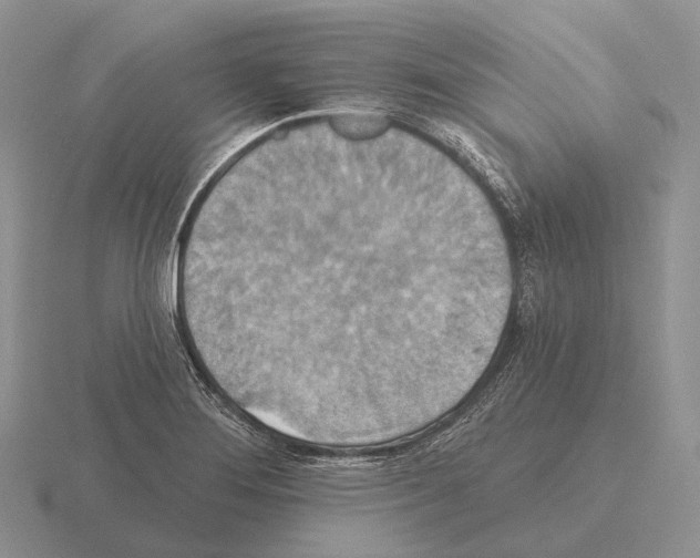 X0000115451276200912161507