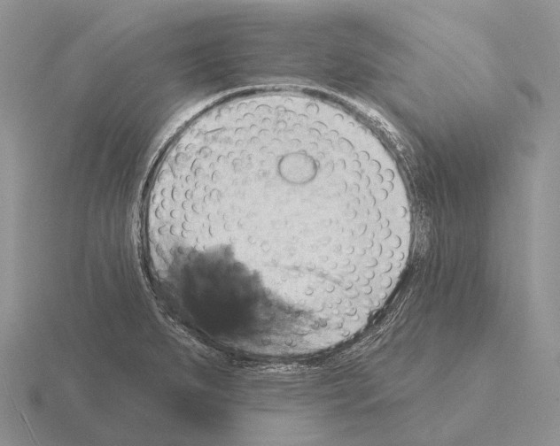 X0000115451279200912161507