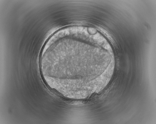 X0000115451283200912161507