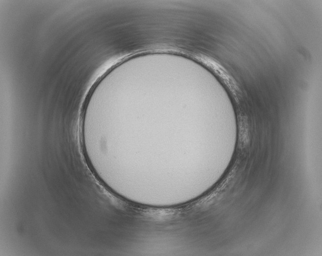 X0000115451286200912161507