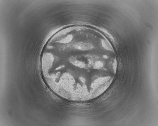 X0000115451287200912161507