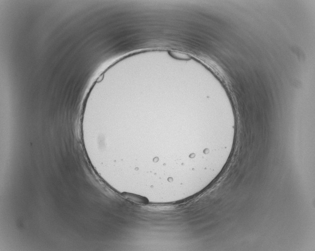 X0000115451296200912161507