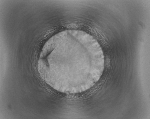 X0000115451297200912161506