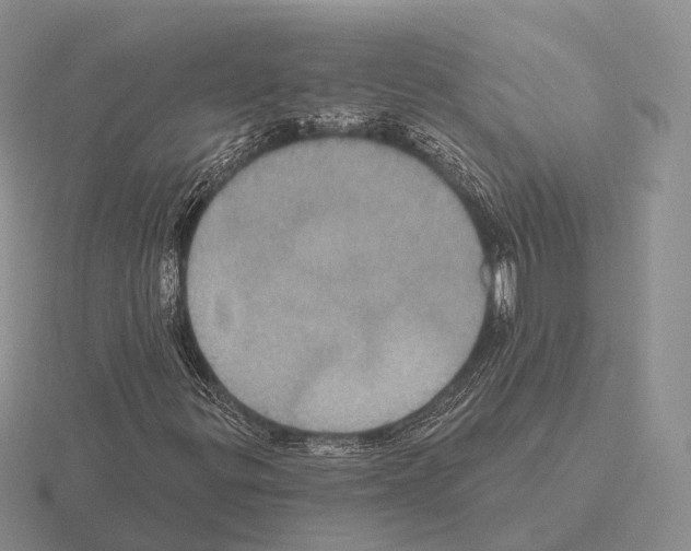 X0000115451299200912161506