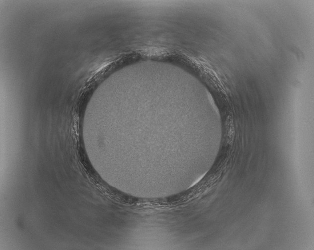 X0000115451301200912161506