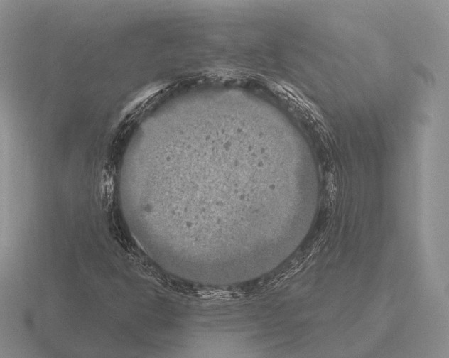 X0000115451302200912161506