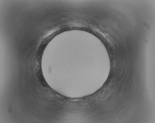 X0000115451303200912161506