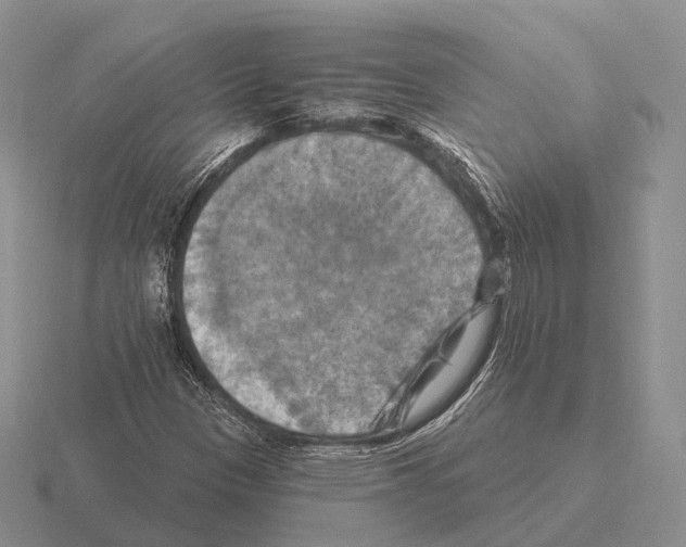 X0000115451305200912161506