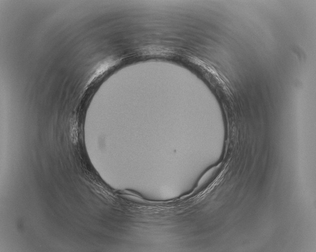 X0000115451306200912161506