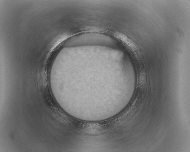 X0000115451310200912161506