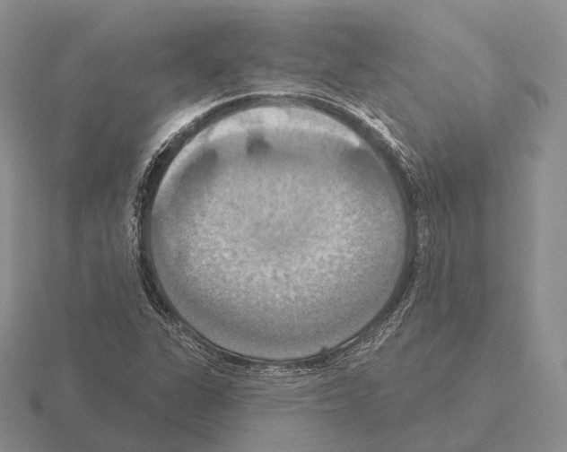 X0000115451311200912161506