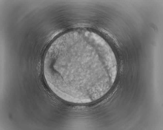 X0000115451313200912161506