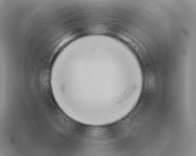 X0000115451314200912161506