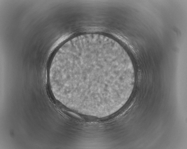 X0000115451317200912161506