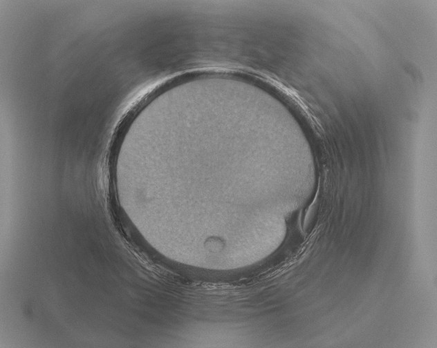 X0000115451319200912161506